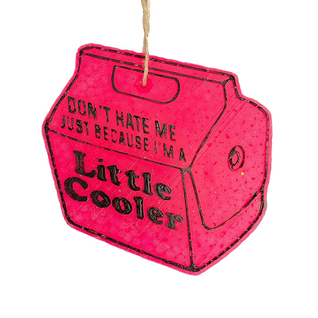 Little Cooler Freshie