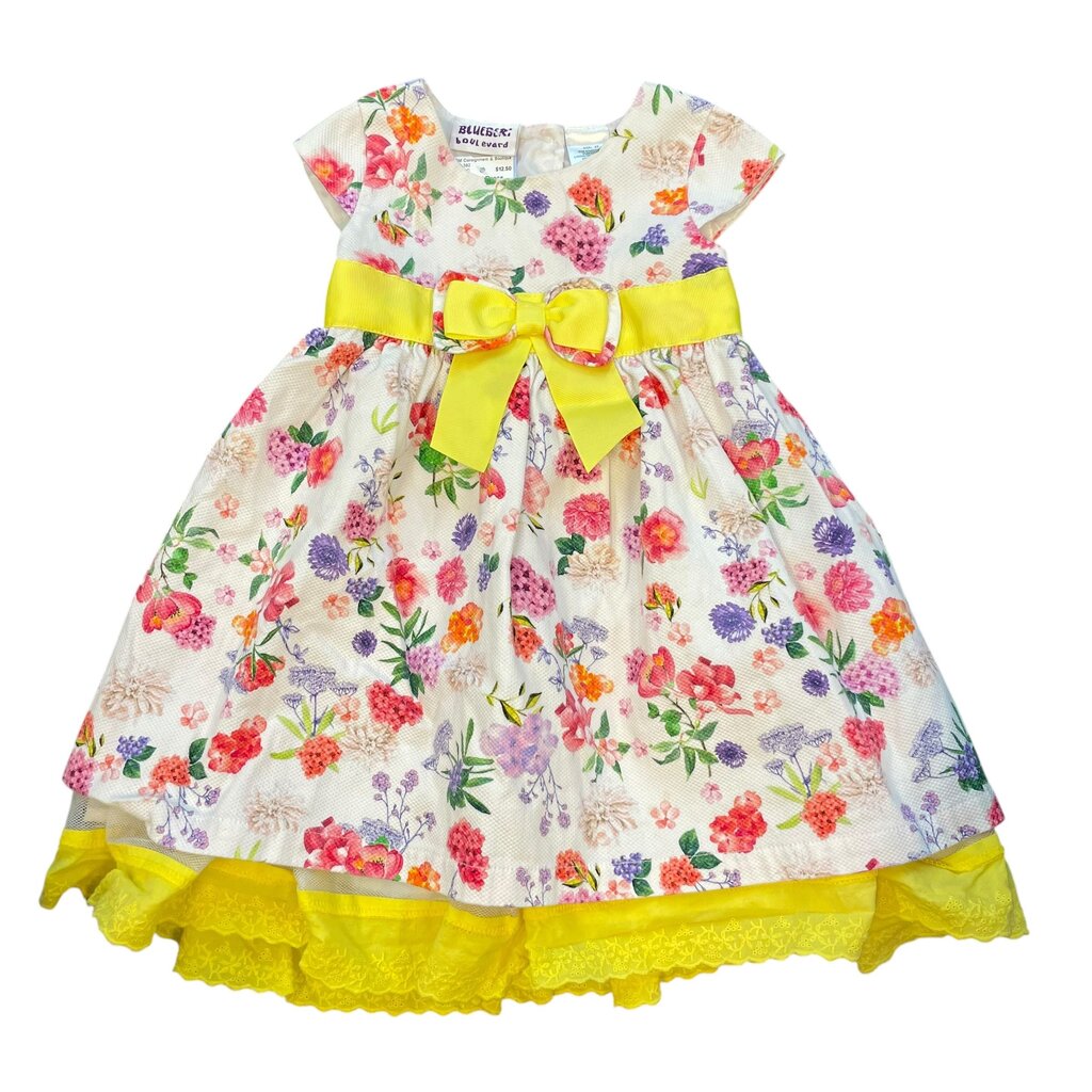 Blueberi Dress