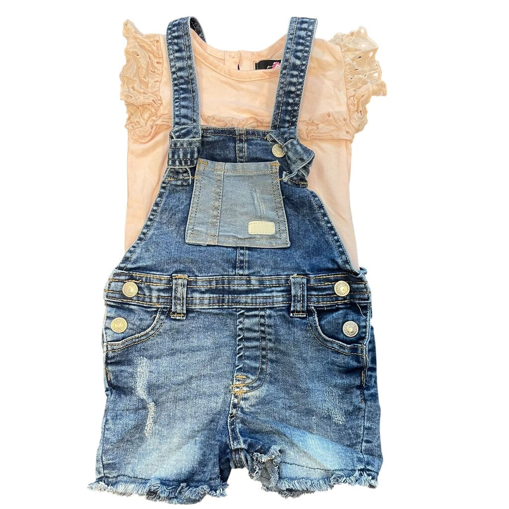 7 For All Mankind Overalls