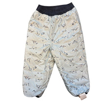 Load image into Gallery viewer, NF Reversible Snow Pants

