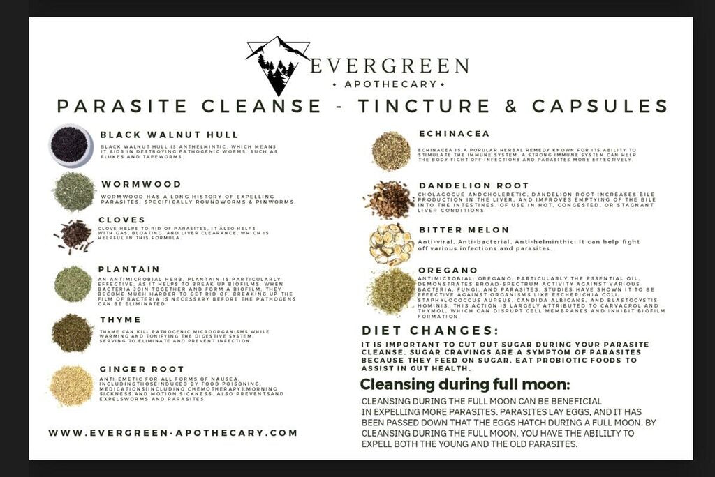 Parasite Detox Tincture