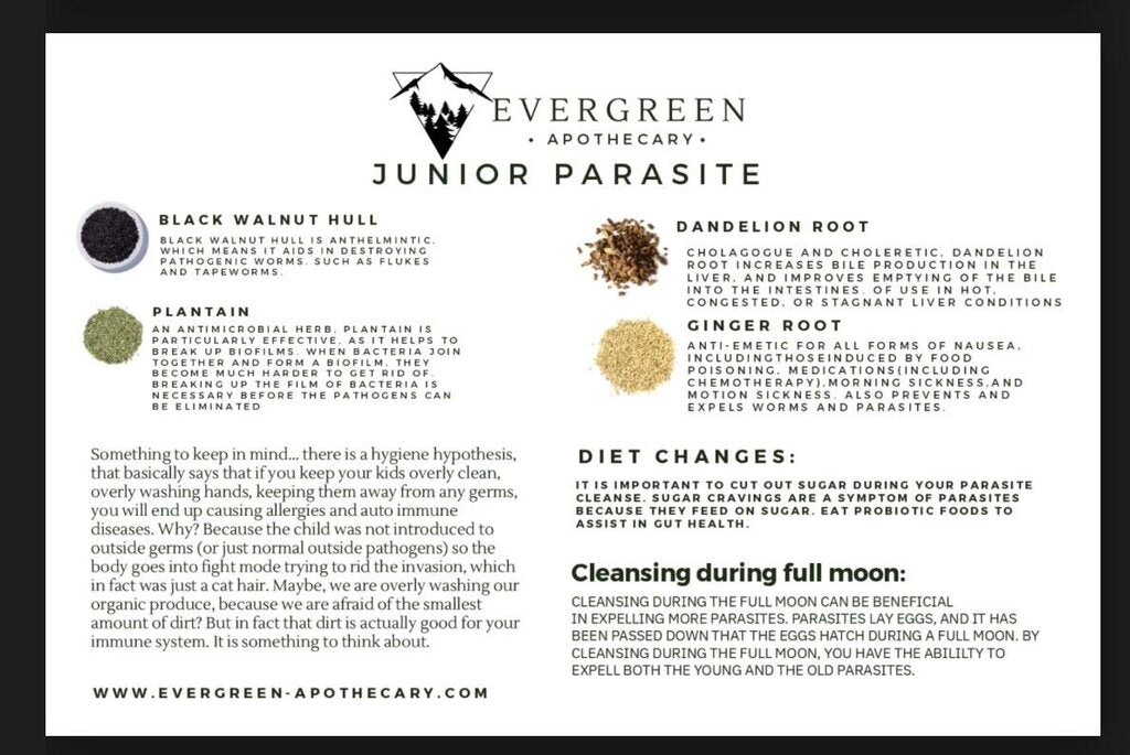 Junior Parasite Detox Tincture