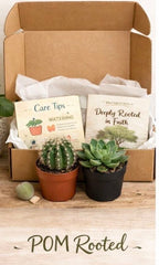 POM Subscription Box