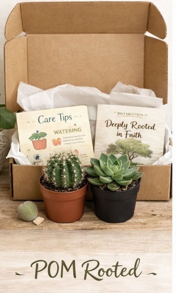 POM Subscription Box