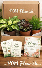 POM Flourish Box