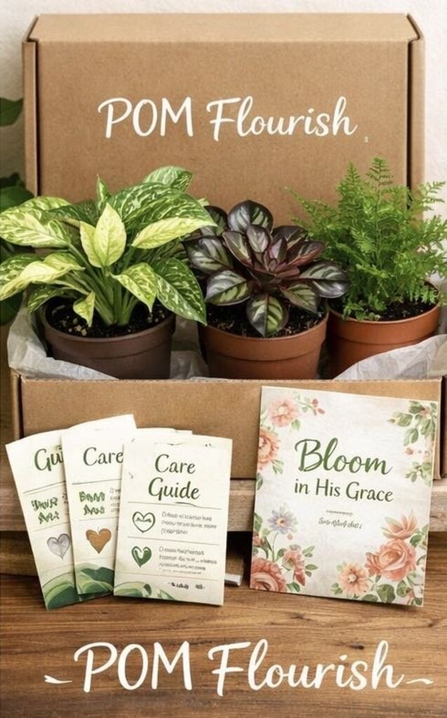 POM Flourish Box
