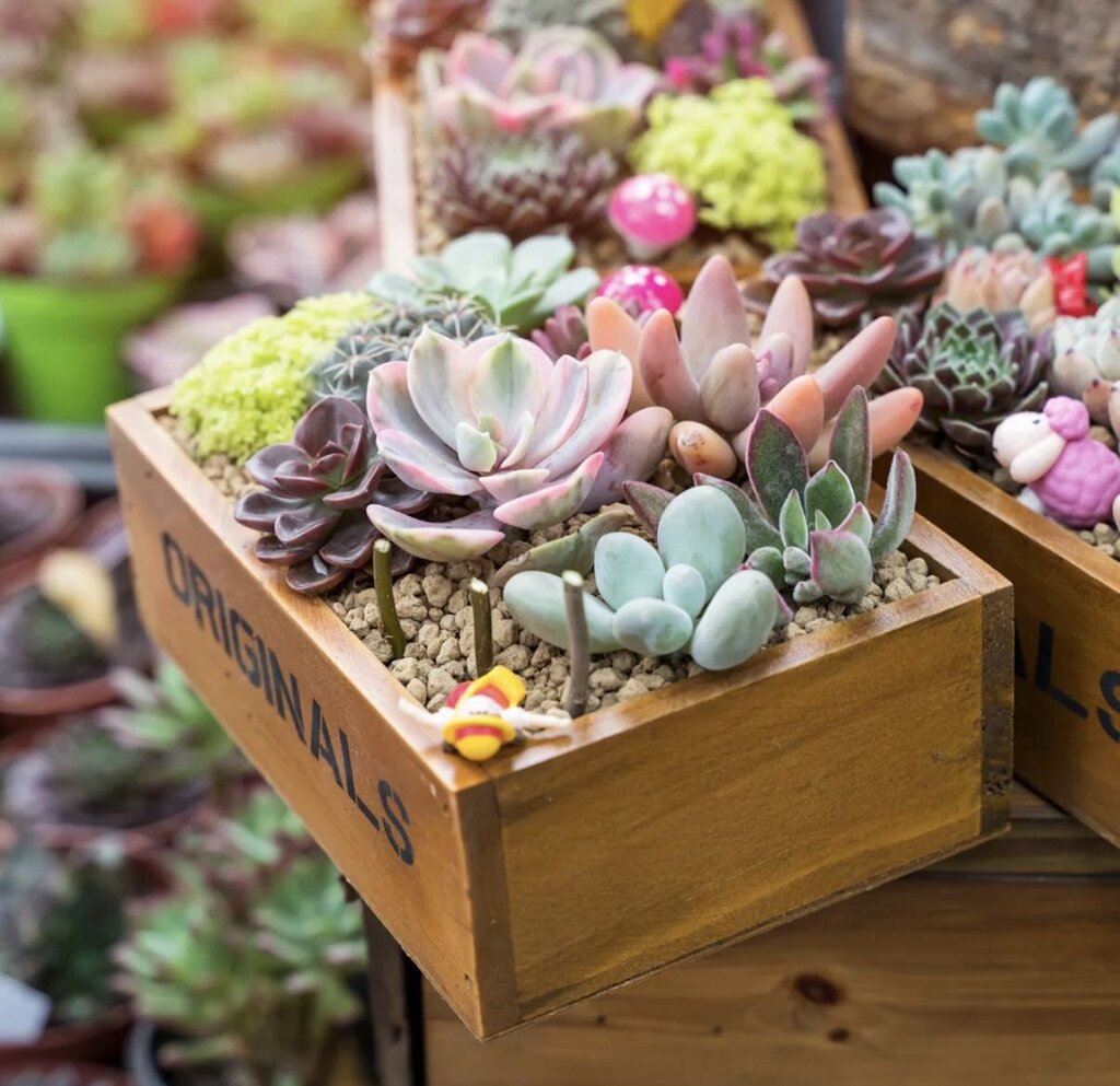 POM Peace Box