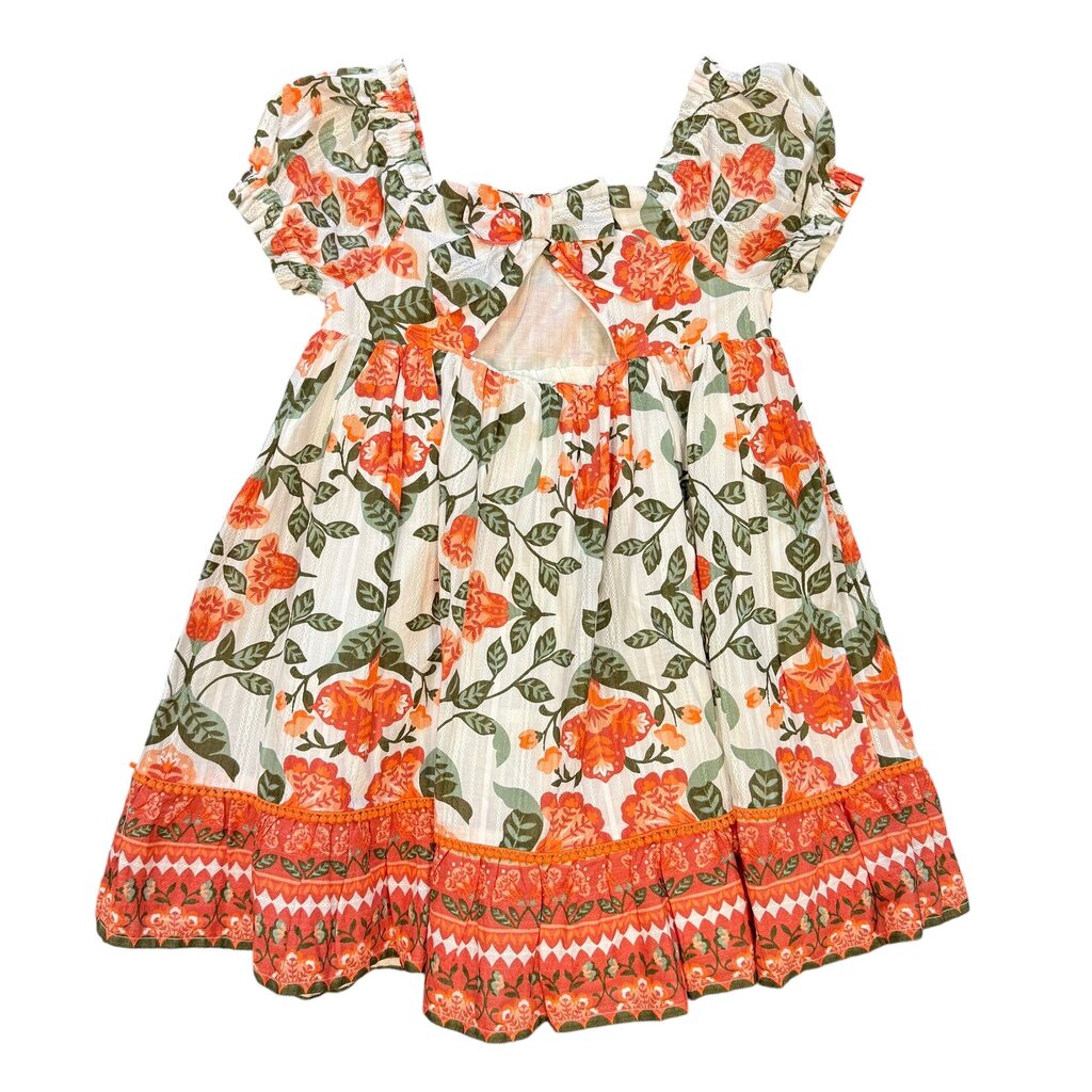 Haute Hippie Dress