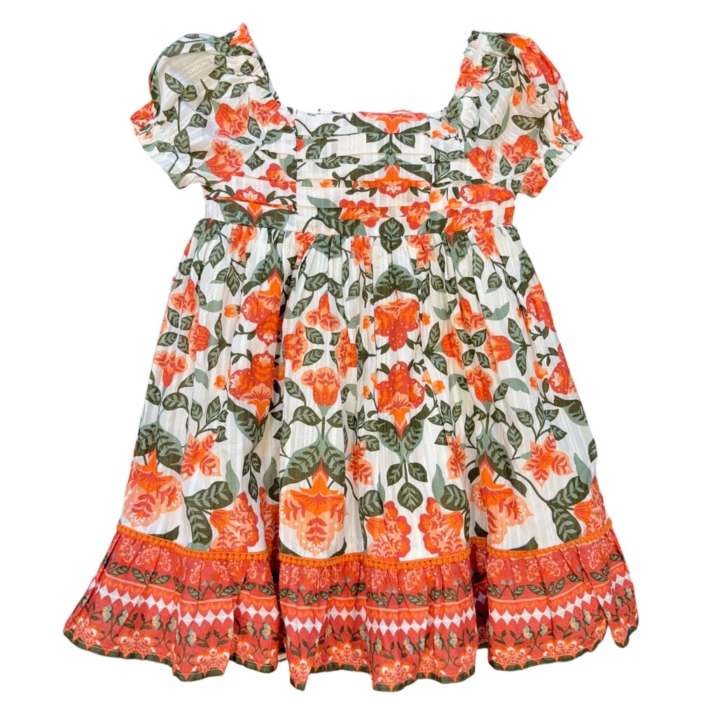 Haute Hippie Dress