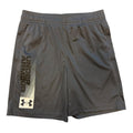 UA Shorts