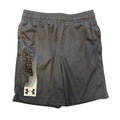 UA Shorts