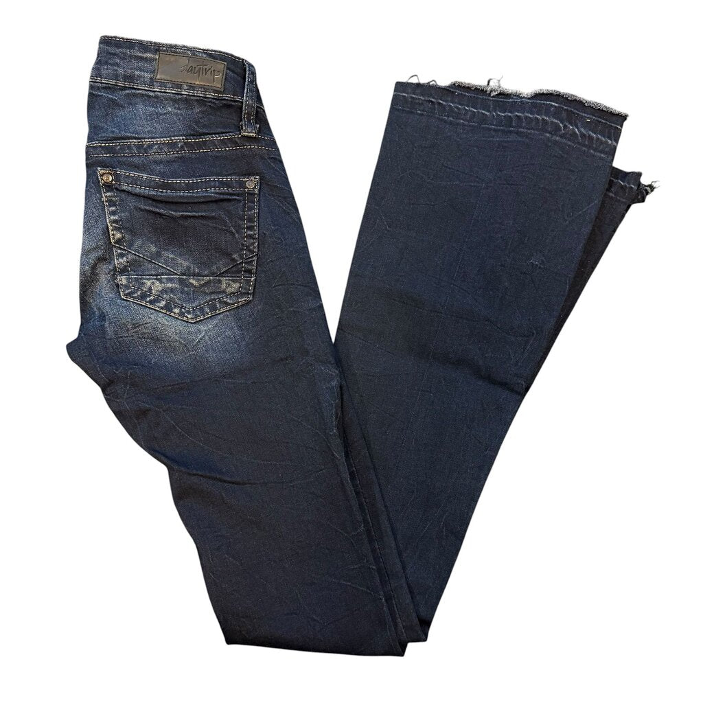 Daytrip Flare Jeans