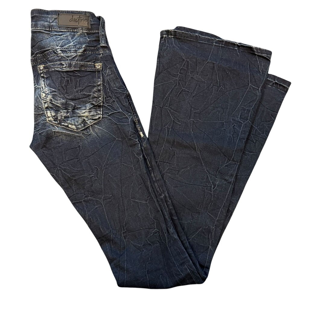 Daytrip Flare Jeans