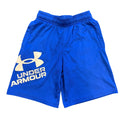 UA Shorts