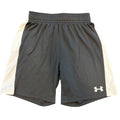 UA Shorts