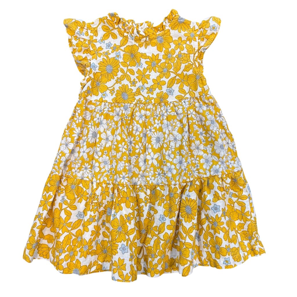 Carters Dress